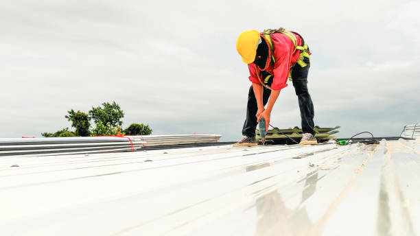 Best Sheet Metal Roofing  in Seco Mines, TX
